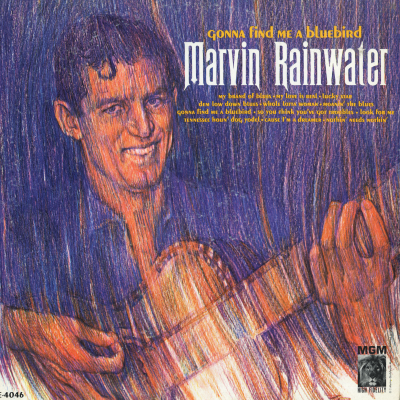 Gonna Find Me A Bluebird