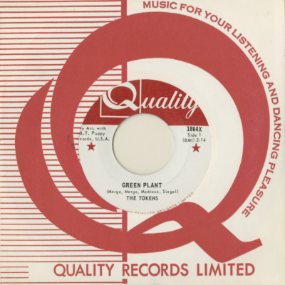 Green Plant / Saloogy