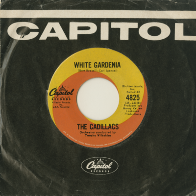 Groovy Groovy Love / White Gardenia