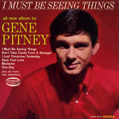 I Must Be Seeing Things