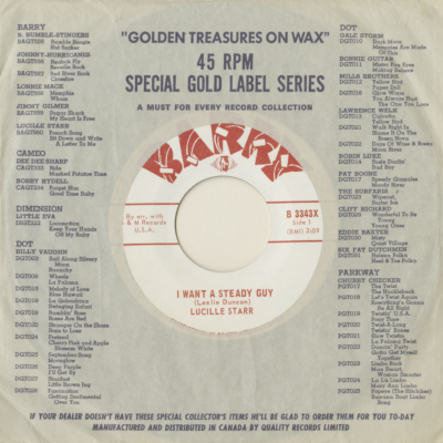 I Want A Steady Guy / So Many Others (1965)