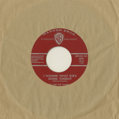 I Wonder What She's Doing Tonight / Don't Go