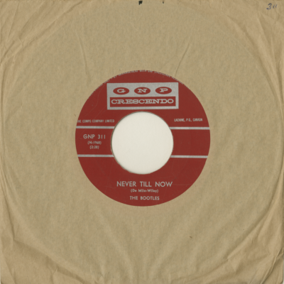 Never Till Now / I'll Let You Hold My Hand (1965)