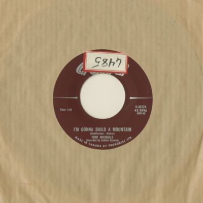 I'm Gonna Build A Mountain / Let It Rain (1959)