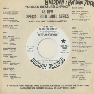 I'm Not My Brothers Keeper / Deserted Village (1970)