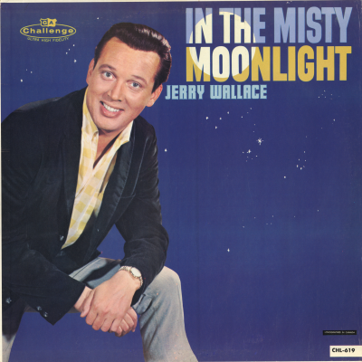 In The Misty Moonlight