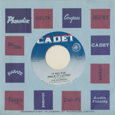 It Was Fun While It Lasted / Sorrow's Anthem