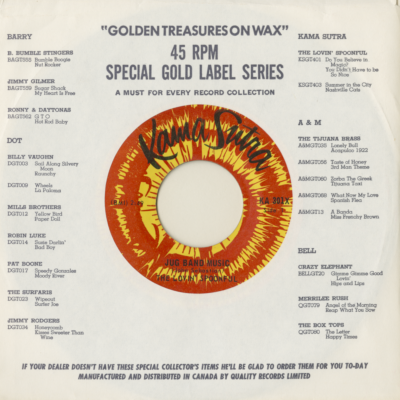 Jug Band Music / Didn't Want To Have To Do It (1969)