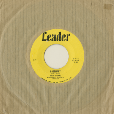 Library Love Affair / Rosemary