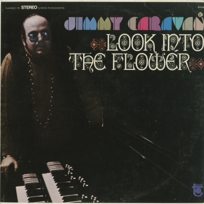 Look Into The Flower