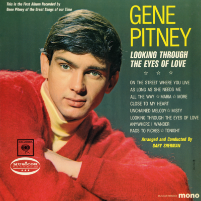 Looking Through The Eyes Of Love