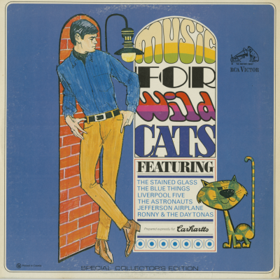 Music For Wild Cats