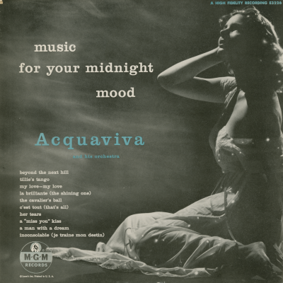 Music For Your Midnight Mood