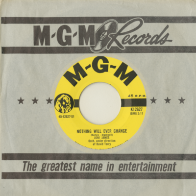 Nothing Will Ever Change / Does It Show