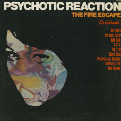 Psychotic Reaction (1967)