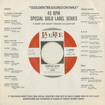 Purple Haze / The Dolphins