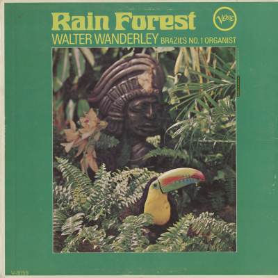 Rain Forest