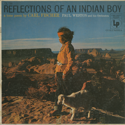 Reflections Of An Indian Boy