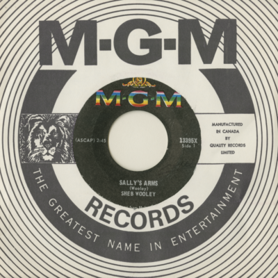 Sally's Arms / Big Land