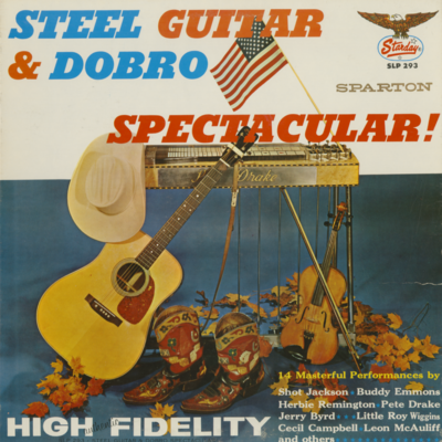 Steel Guitar And Dobro Special