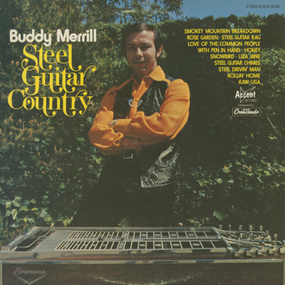 Steel Guitar Country