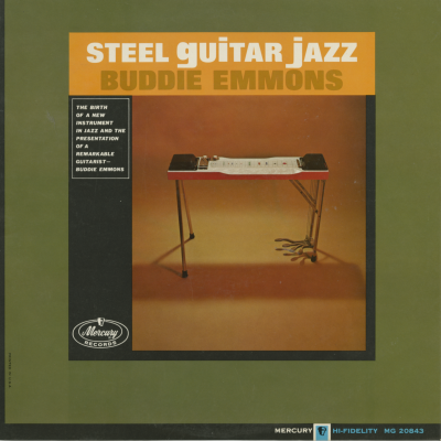 Steel Guitar Jazz