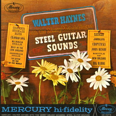 Steel Guitar Sounds (1962)