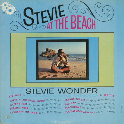 Stevie At The Beach