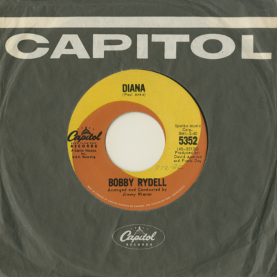 Stranger In The World / Diana