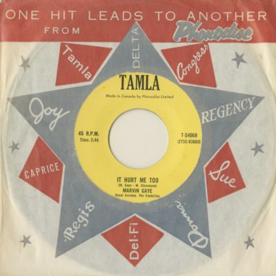 Stubborn Kind Of Fellow / It Hurt Me Too