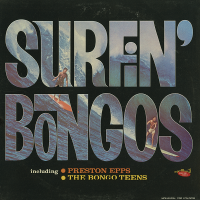 Surfin' Bongos