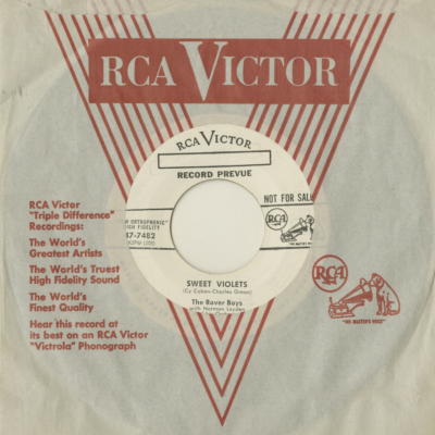 Sweet Violets / Julia