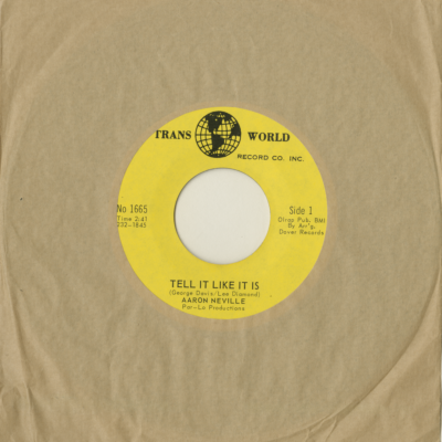 Tell It Like It Is / Why Worry (1966)