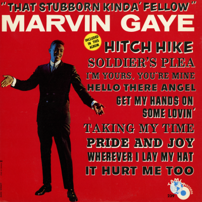 That Stubborn Kind Of Fella