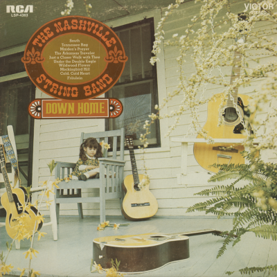 The Nashville String Band Down Home