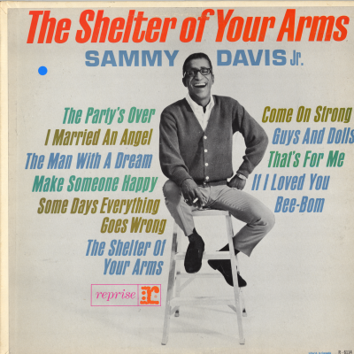 The Shelter Of Your Arms