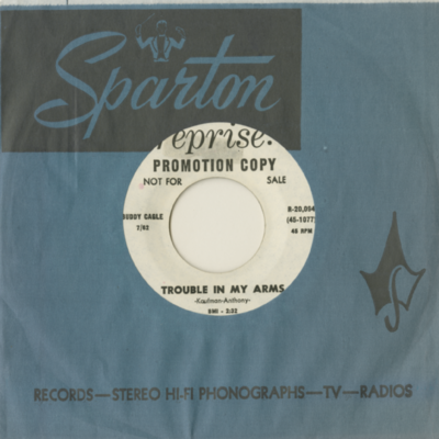 Trouble In My Arms / Now That Did't Hurt Much Did It? (1962)