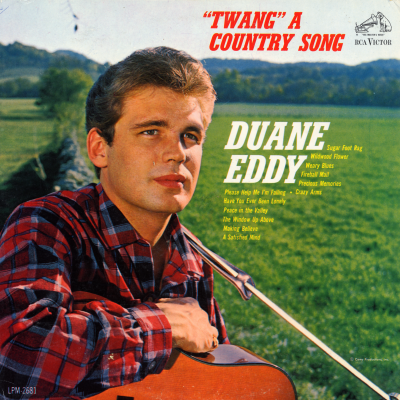 Twang A Country Song