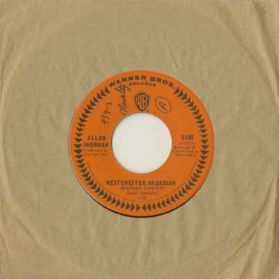 Westchester Hadassah / Strange Thing In My Soup (1967)