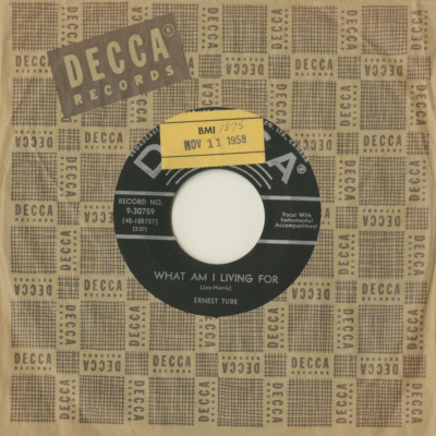 What Am I Living For / Goodbye Sunshine Hello Blues