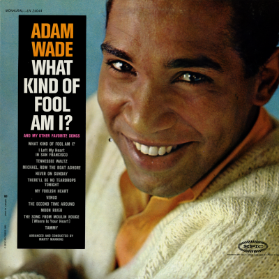 What Kind Of Fool Am I