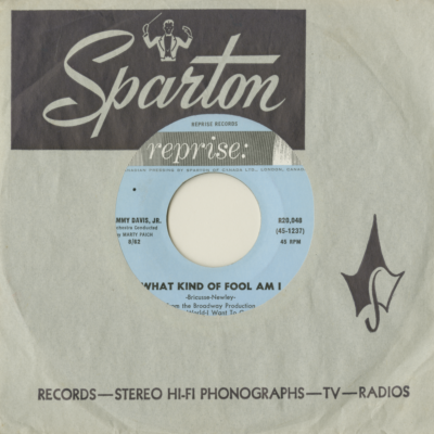 What Kind Of Fool Am I / Gonna Build A Mountain