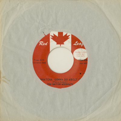 Whatcha Gonna Do About It / The Price Of Love (1966)