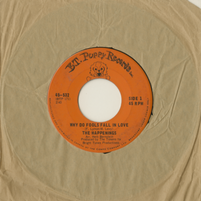 Why Do Fools Fall In Love / When The Summer Is Through