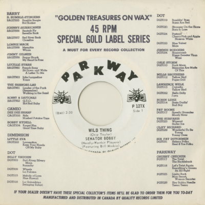 Wild Thing / Wild Thing (1966)