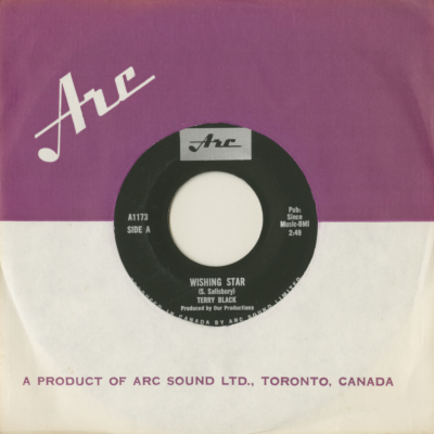 Wishing Star / Kick Me Charlie