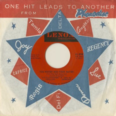 You Never Miss Your Water / If You Want It