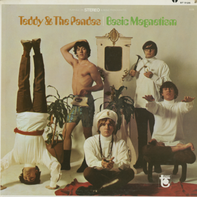 Teddy & The Pandas Basic Magnetism