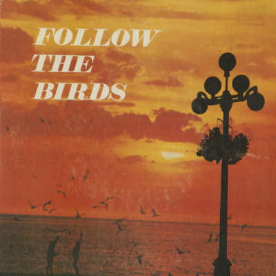 Follow The Birds