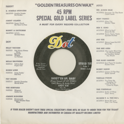 Shoot 'Em Up Baby / Ordinary Kind Of Girl